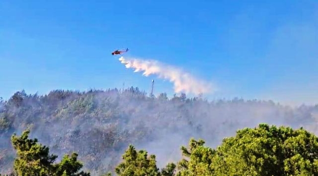 Gazipaşa'daki orman yangını 3 saatte kontrol altına alındı