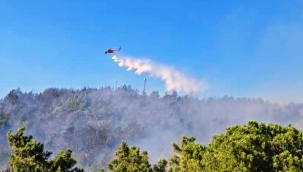 Gazipaşa'daki orman yangını 3 saatte kontrol altına alındı