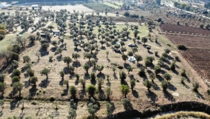 Maden Yasa teklifi komisyondan geçti