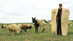 Yabancı çobanlar geliyor: Çalışma izni başvuruları başladı