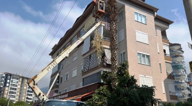 Alanya Belediyesi ve AEDAŞ'tan yangın riskine karşı önlem 