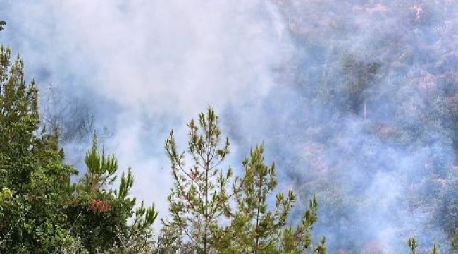 Alanya'da çıkan orman yangını kontrol altına alındı