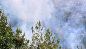 Alanya'da çıkan orman yangını kontrol altına alındı