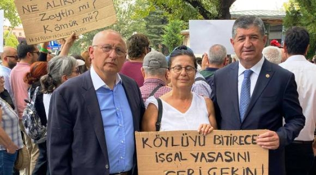 Cavit Arı'dan 'Zeytin Yasası'na tepki: Bu anlayışa karşı durmak boynumuzun borcu