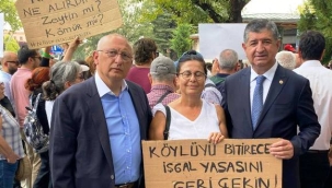 Cavit Arı'dan 'Zeytin Yasası'na tepki: Bu anlayışa karşı durmak boynumuzun borcu