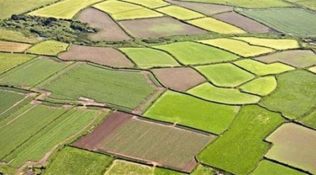 Ekilmeyen tarım arazisi kiraya verilecek