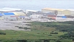 Rusya'da deprem ve tsunami yaşanan Kamçatka bölgesinde "yüksek hazırlık durumu" ilan edildi