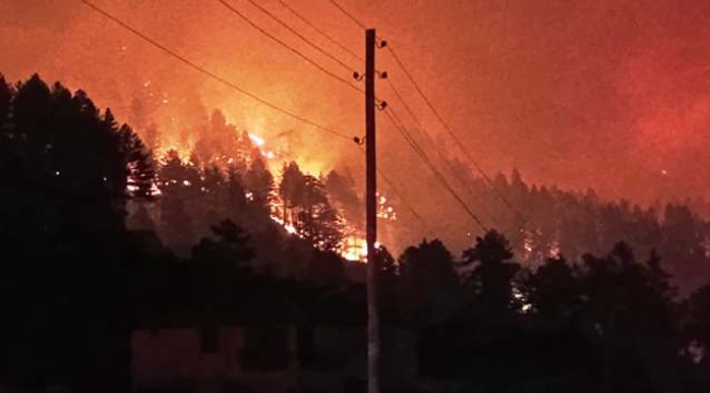 Söğüt Yaylası'ndaki yangında soğutma çalışmaları sürüyor