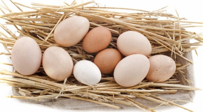 Yumurta satışında yeni dönem: 'Son tüketim tarihi' ibaresi kaldırıldı