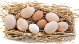 Yumurta satışında yeni dönem: 'Son tüketim tarihi' ibaresi kaldırıldı