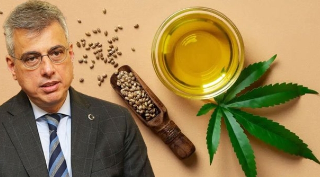 Bakan Memişoğlu: Tıbbi kenevir ilaç formuyla eczanelerde olacak