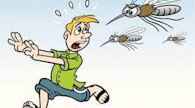 Bilim insanları duyurdu: Sivrisinekleri kaçıran şarkı belli oldu