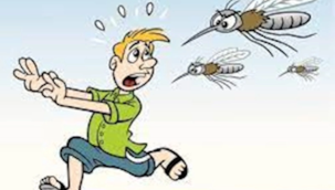 Bilim insanları duyurdu: Sivrisinekleri kaçıran şarkı belli oldu