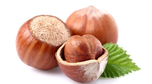 TMO kabuklu fındık alım fiyatlarını açıkladı