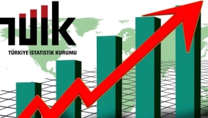 TÜİK temmuz ayı enflasyon verilerini açıkladı
