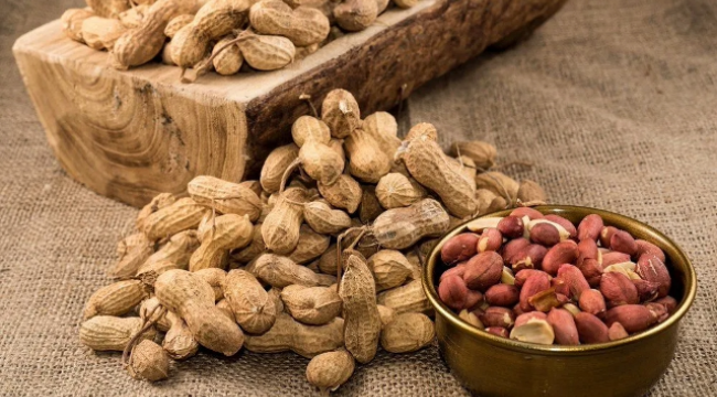 Türkiye'den ihraç edilen kabuklu fıstıklar geri gönderildi