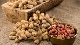 Türkiye'den ihraç edilen kabuklu fıstıklar geri gönderildi