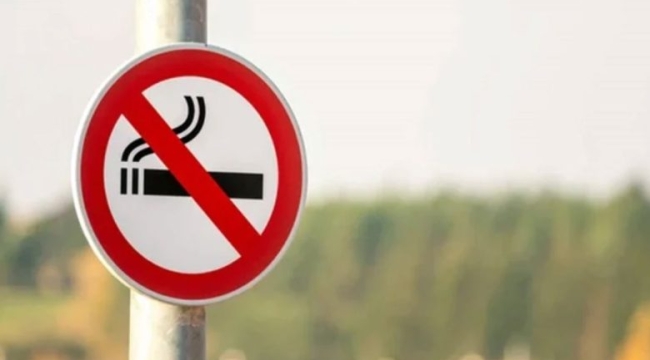 Türkiye'nin ilk "sigarasız şehri" Artvin oluyor