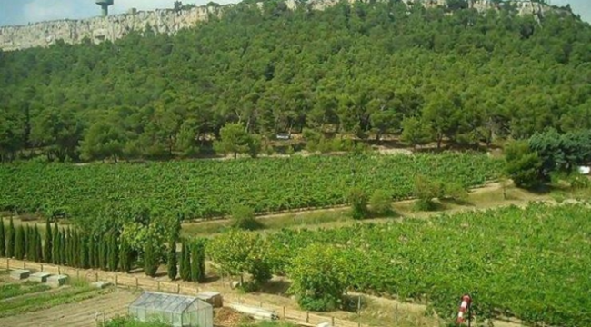Yargıtay, Ankara'da ABD Büyükelçiliği'ne satılan AOÇ arazisiyle ilgili satış kararını bozdu