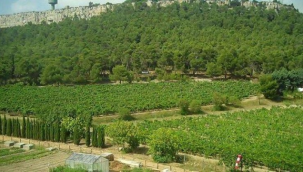 Yargıtay, Ankara'da ABD Büyükelçiliği'ne satılan AOÇ arazisiyle ilgili satış kararını bozdu