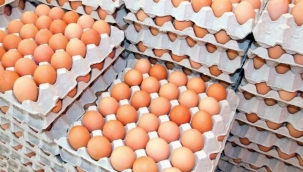 Türkiye'nin ABD'ye yumurta ihracatı yüzde 406 arttı