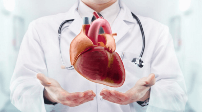Uzmanlar açıkladı: 'Yakında kalp damar ameliyatı yapacak hekim bulamayacağız'