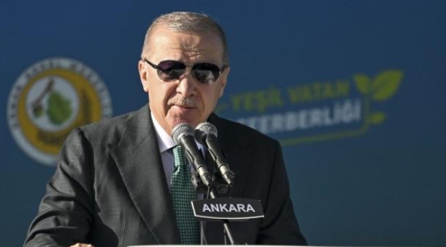 Cumhurbaşkanı Erdoğan: 23 yılda 7,5 milyar ağaç diktik