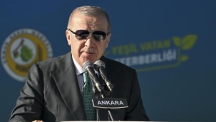 Cumhurbaşkanı Erdoğan: 23 yılda 7,5 milyar ağaç diktik