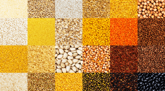 Tahıl ürünlerinde yüksek düzeyde 'uzun ömürlü kimyasallar' tespit edildi