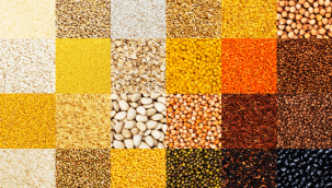 Tahıl ürünlerinde yüksek düzeyde 'uzun ömürlü kimyasallar' tespit edildi