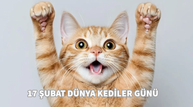 17 Şubat Dünya Kediler Günü
