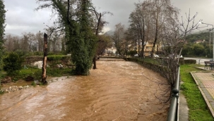 Alanya'da sağanak sebebiyle Oba Çayı taştı, binaların bahçelerini su bastı