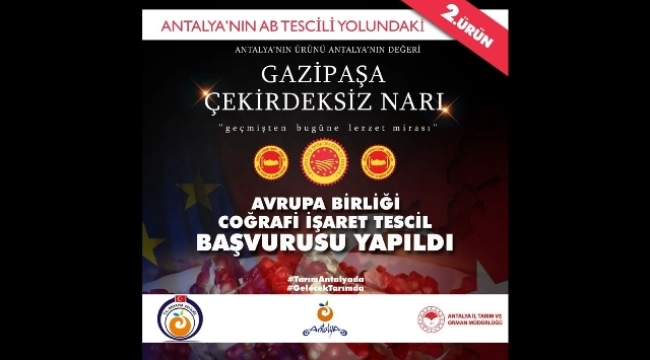 Gazipaşa Çekirdeksiz Narı için AB tescil başvurusu yapıldı