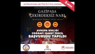 Gazipaşa Çekirdeksiz Narı için AB tescil başvurusu yapıldı