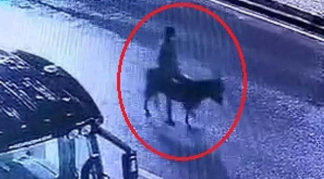 Kuyumcuyu forkliftle soydu: Hırsız, 150 gram altını çalıp eşekle kaçtı