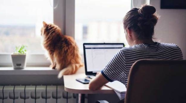 Türkiye'de yalnız yaşayanların sayısı belli oldu: 10 yılda ne kadar arttı?