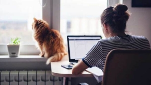 Türkiye'de yalnız yaşayanların sayısı belli oldu: 10 yılda ne kadar arttı?