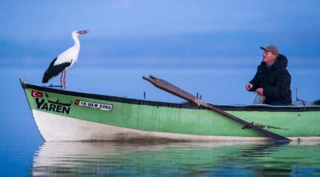 Yılın ilk leyleği Nazlı geldi: Yaren leylek bekleniyor