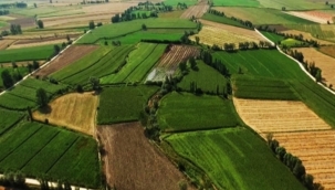 3 milyon kişinin mülkiyet sorunu çözülecek: Orman sınırları içinde kalan tapularla ilgili teklif TBMM'ye sunuldu