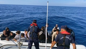 24 ilde göçmen kaçakçılığı operasyonu: 89 şüpheli tutuklandı