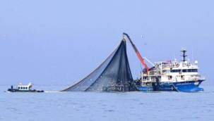 Balıkçılık sezonu kapanıyor: 15 Nisan'da ağlar toplanıyor