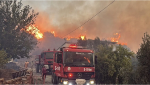 Alanya'daki orman yangınında mücadele ikinci gününde