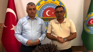 Alanya'da keçiboynuzu üreticileri için tavsiye fiyatı açıkladılar 