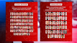 Kırmızı bültenle ve ulusal seviyede aranan 76 suçlu Türkiye'ye getirildi